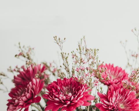 Bloom & Bubbles